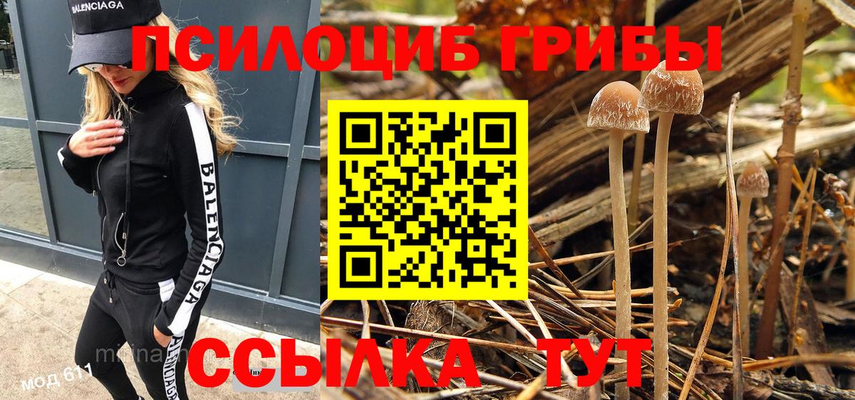 Псилоцибиновые грибы прущие грибы Ступино